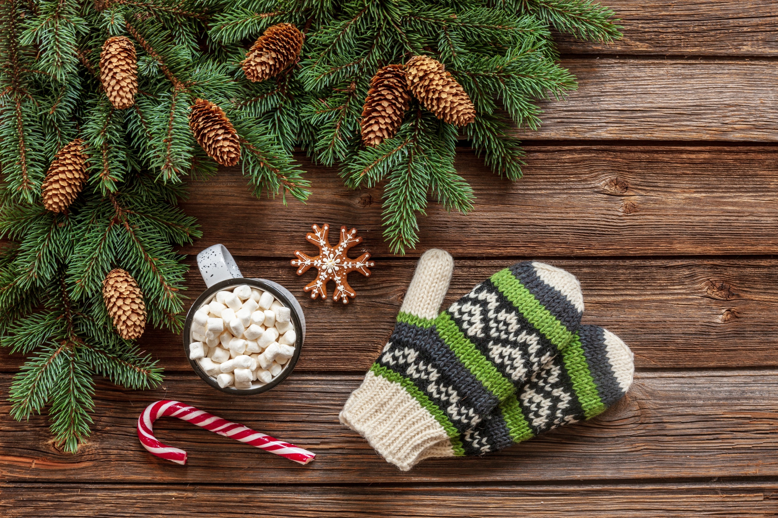 Christmas Mittens Pine Cone Marshmallow Wood 559013 2560x1706